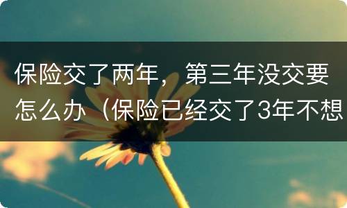 保险交了两年，第三年没交要怎么办（保险已经交了3年不想交了怎么办）