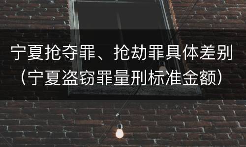 宁夏抢夺罪、抢劫罪具体差别（宁夏盗窃罪量刑标准金额）
