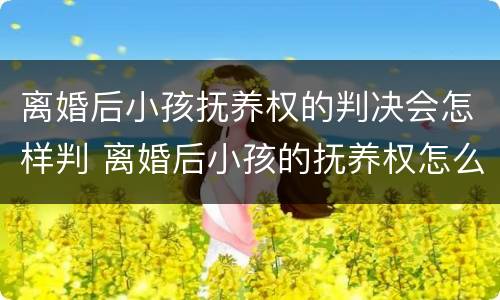离婚后小孩抚养权的判决会怎样判 离婚后小孩的抚养权怎么判