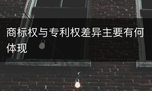 商标权与专利权差异主要有何体现