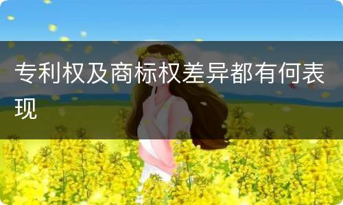 专利权及商标权差异都有何表现