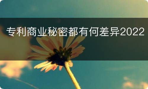 专利商业秘密都有何差异2022