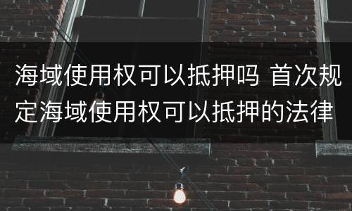 海域使用权可以抵押吗 首次规定海域使用权可以抵押的法律