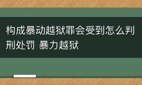 构成暴动越狱罪会受到怎么判刑处罚 暴力越狱