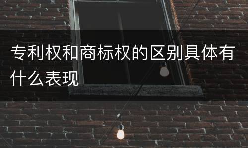 专利权和商标权的区别具体有什么表现