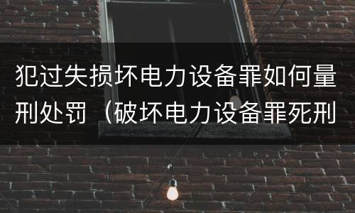 犯过失损坏电力设备罪如何量刑处罚（破坏电力设备罪死刑案例）
