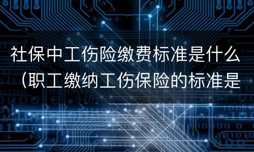 社保中工伤险缴费标准是什么（职工缴纳工伤保险的标准是什么）