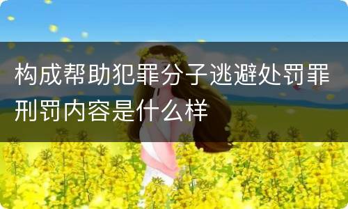 构成帮助犯罪分子逃避处罚罪刑罚内容是什么样