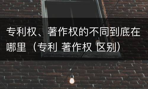 专利权、著作权的不同到底在哪里（专利 著作权 区别）