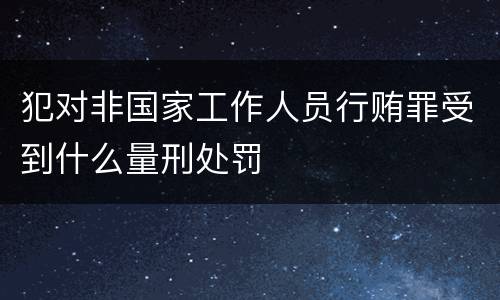 犯对非国家工作人员行贿罪受到什么量刑处罚