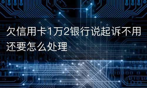 欠信用卡1万2银行说起诉不用还要怎么处理
