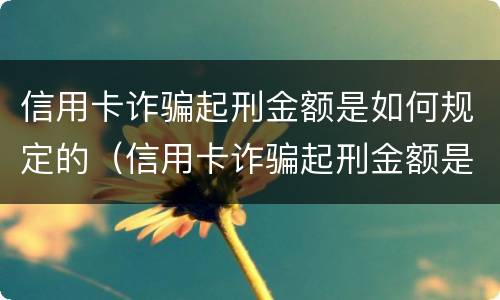 信用卡诈骗起刑金额是如何规定的（信用卡诈骗起刑金额是如何规定的呢）