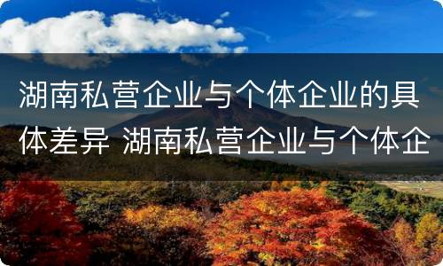 湖南私营企业与个体企业的具体差异 湖南私营企业与个体企业的具体差异在于