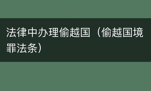法律中办理偷越国（偷越国境罪法条）