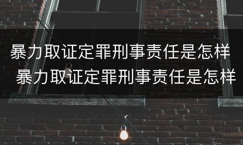 暴力取证定罪刑事责任是怎样 暴力取证定罪刑事责任是怎样的