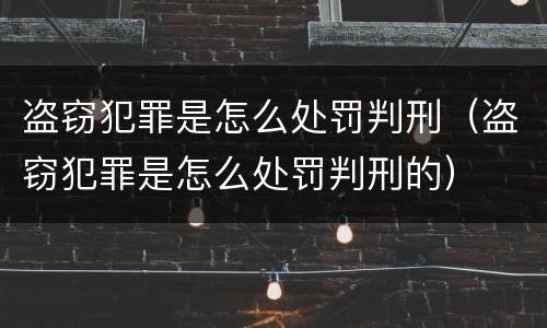 盗窃犯罪是怎么处罚判刑（盗窃犯罪是怎么处罚判刑的）