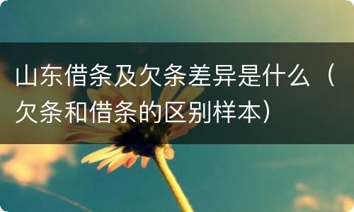 山东借条及欠条差异是什么（欠条和借条的区别样本）