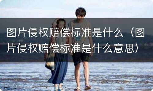 图片侵权赔偿标准是什么（图片侵权赔偿标准是什么意思）
