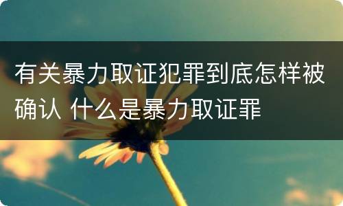 有关暴力取证犯罪到底怎样被确认 什么是暴力取证罪