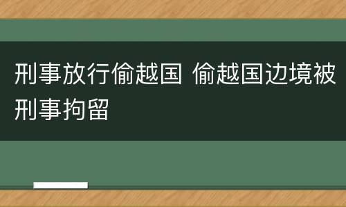 刑事放行偷越国 偷越国边境被刑事拘留