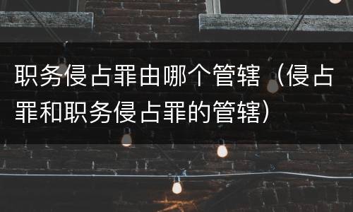 职务侵占罪由哪个管辖（侵占罪和职务侵占罪的管辖）