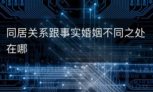 同居关系跟事实婚姻不同之处在哪
