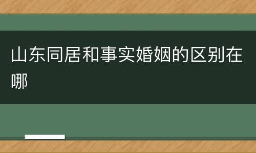 山东同居和事实婚姻的区别在哪