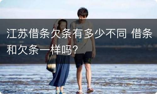 江苏借条欠条有多少不同 借条和欠条一样吗?