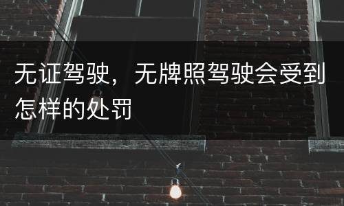 无证驾驶，无牌照驾驶会受到怎样的处罚