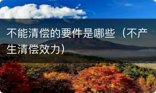 不能清偿的要件是哪些（不产生清偿效力）
