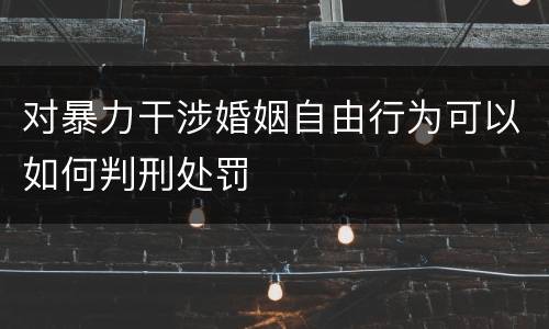 对暴力干涉婚姻自由行为可以如何判刑处罚