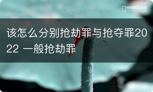 该怎么分别抢劫罪与抢夺罪2022 一般抢劫罪