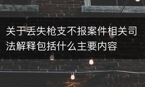 关于丢失枪支不报案件相关司法解释包括什么主要内容