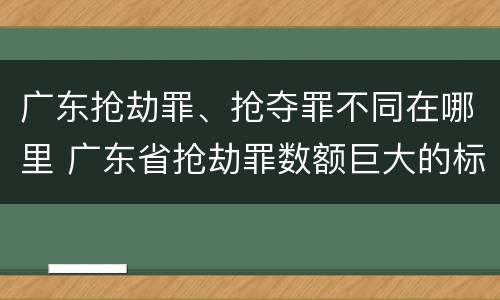 广东抢劫罪、抢夺罪不同在哪里 广东省抢劫罪数额巨大的标准