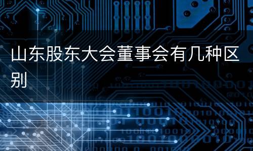 山东股东大会董事会有几种区别
