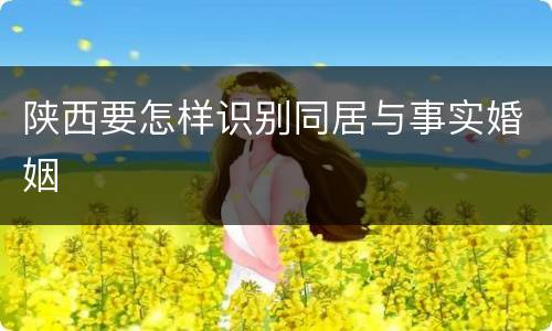 陕西要怎样识别同居与事实婚姻