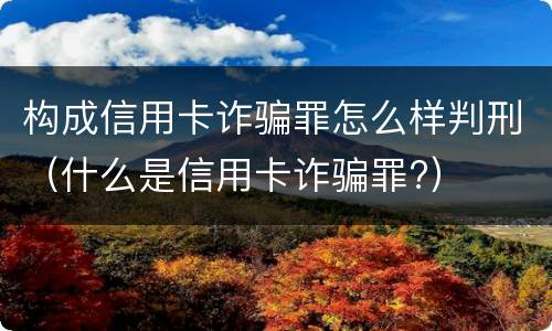 构成信用卡诈骗罪怎么样判刑（什么是信用卡诈骗罪?）
