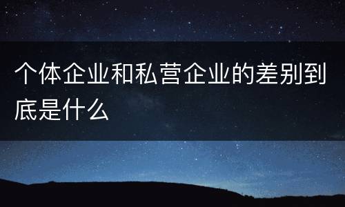 个体企业和私营企业的差别到底是什么