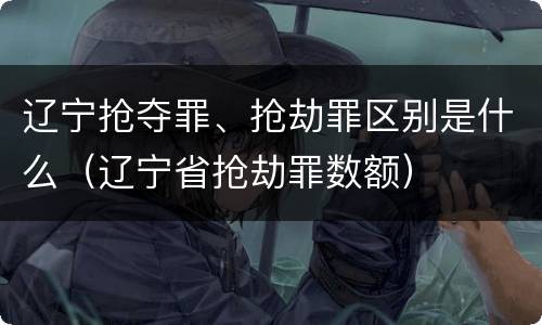 辽宁抢夺罪、抢劫罪区别是什么（辽宁省抢劫罪数额）