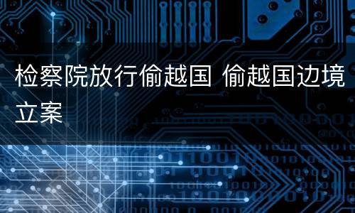 检察院放行偷越国 偷越国边境立案