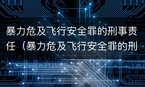 暴力危及飞行安全罪的刑事责任（暴力危及飞行安全罪的刑事责任是）
