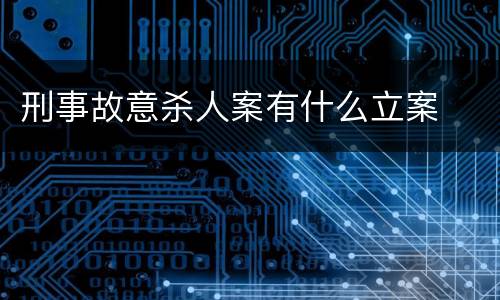 刑事故意杀人案有什么立案