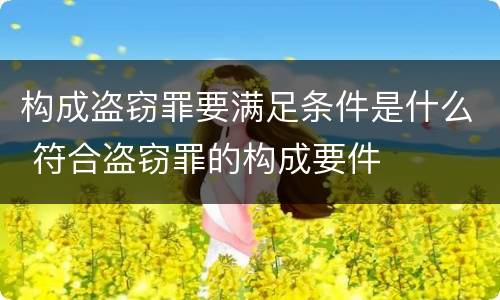 构成盗窃罪要满足条件是什么 符合盗窃罪的构成要件