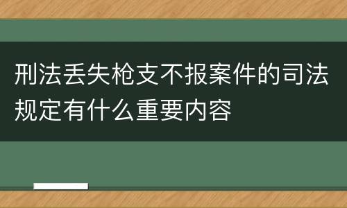 刑法丢失枪支不报案件的司法规定有什么重要内容