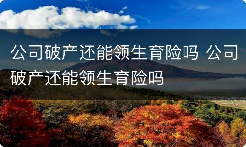 公司破产还能领生育险吗 公司破产还能领生育险吗