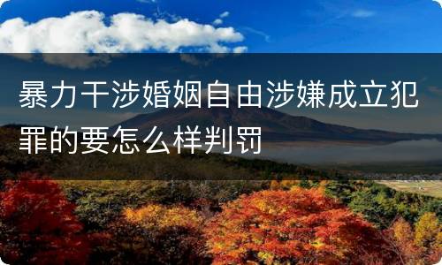 暴力干涉婚姻自由涉嫌成立犯罪的要怎么样判罚