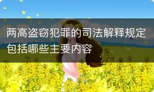两高盗窃犯罪的司法解释规定包括哪些主要内容
