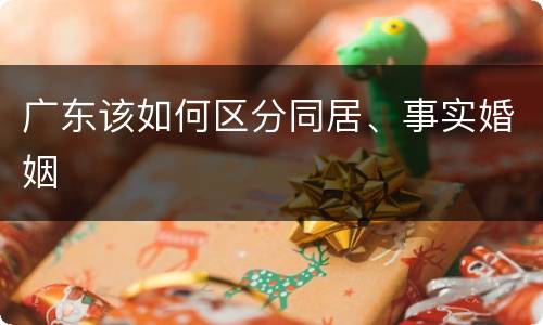 广东该如何区分同居、事实婚姻