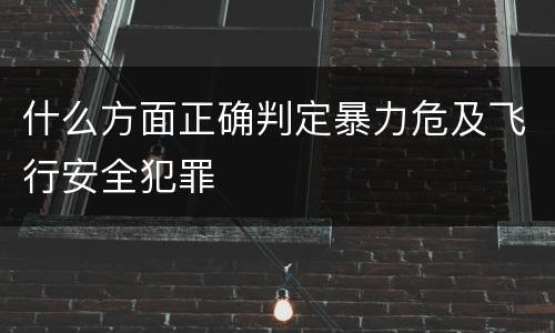 什么方面正确判定暴力危及飞行安全犯罪