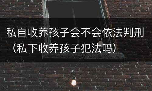 私自收养孩子会不会依法判刑（私下收养孩子犯法吗）